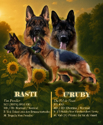 CHIOT